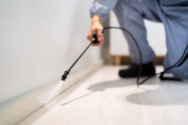 Licensed Termite Control service in Fruitport, MI - Nex Pest Control