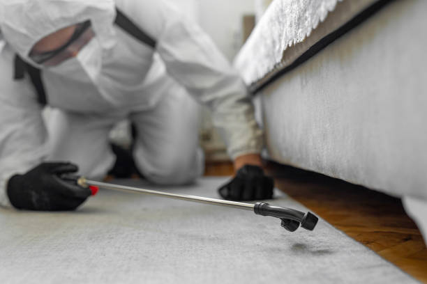 Professional Termite Control technician working in Fruitport, MI