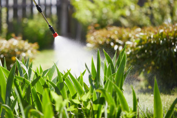 24/7 Emergency Termite Control experts in Fruitport, MI