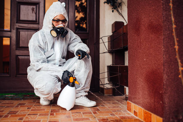 Reliable Termite Control contractor in Fruitport, MI by Nex Pest Control