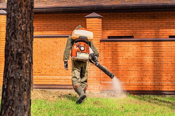 Trusted Emergency Pest Control service in Fruitport, MI - Nex Pest Control